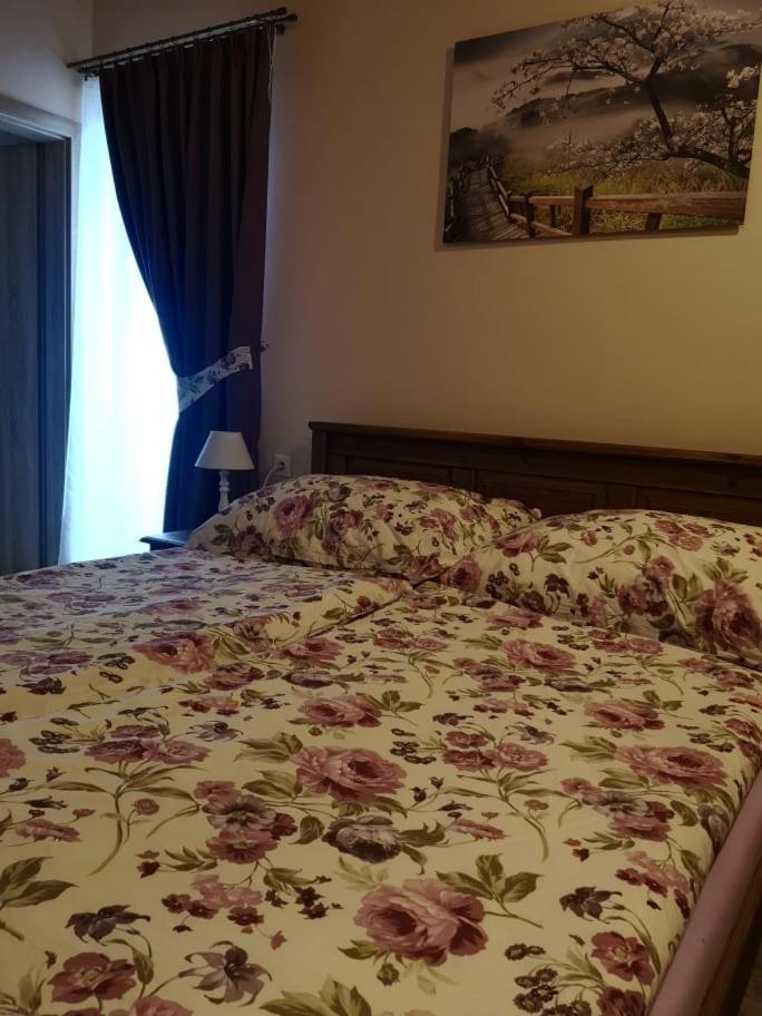 Penzion Thamasy Spisske Tomasovce Экстерьер фото